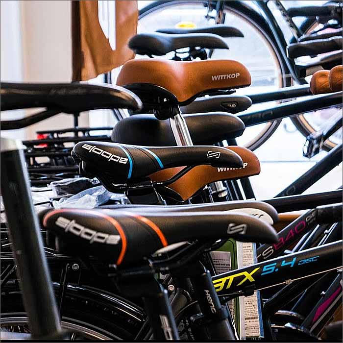 Pedalross in Hamburg